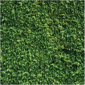 WOLADA Grass Wall Backdrop Green Leaf Banner 8x8FT 10923 