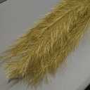 Wertuirk Gold Pampas Grass Decor - 45-Inch Set of 8 | Faux Tall Pampas Grass Soft and Fluffy | Perfect for Wedding Centerpieces, Great Gatsby Party Decorations and Glam Room Decor