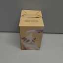 2 x Soft 3-in-1 Silisone Spray Brush, Upgraded for Shedding, Cleaning and Spa Massage, Hair Removal, Best Water Steam Brush for Indoor Long or Short Haired Cat and Dog (Purple)