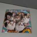 TURNER PHOTOGRAPHIC Curious Kittens 12x12 Photo Wall Calendar (26998940017)