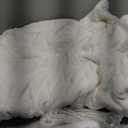 Full Size Heated Blanket 72''X84'' Electric Blanket  Soft Silky Plush Heating Blanket with 5 Heating Levels & 10 Hours Auto Off, ETL Certified & Machine Washable for Grandma Gifts(Cream White)