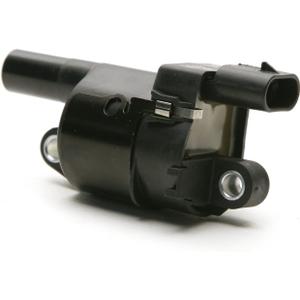 Delphi GN10165 Ignition Coil