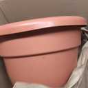 The HC Companies Caribbean Planter Pot - Outdoor & Indoor Plant Pot with Drainage Hole & Plug - Rolled Rim Plastic Pots for Plants & Flowers - Decorative Plant Pot (16" Clay, Pack of 1)