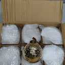 Threan 6 Pcs Large Vintage Mercury Glass Christmas Ornaments 3.15" Hanging Christmas Ball Ornaments Antique Embossed Ball Decorations for Xmas Tree Garland Wreath Holiday Decor(Gold,Etched)