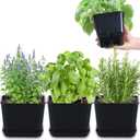 Oliz Herb Garden Planter Indoor Kit Pots for Indoor/Outdoor Plants 4 Packs Windowsill Plant Pots with Drainage and Tray, Window Pot for Indoor Plants (Black)
