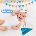 VitalCozy 14 Pcs Baby Milestone Pennant Signs Monthly Milestone Banner Flags Pennant Triangle Banner Age Flag Signs for Boy Girl Newborn Birthday Party Decor(Ocean Color)