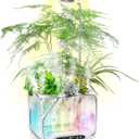 Aeroponics Growing System with Grow Light & Humidifier - Smart Indoor Garden, Visual Root Observation, RGB Mood Lighting, for Plants, Mushrooms - Desktop Hydroponic Planter, Large