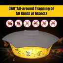 2 Pack Flea Trap with 10 Sticky Refill Discs