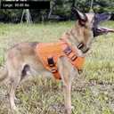 ICEFANG Tactical Dog Harness, Large Size,2X Metal Buckle,Working Dog MOLLE Vest with Handle,No Pulling Front Leash Clip,Hook and Loop Panel (Orange,L (Pack of 1))