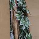 6.2ft Ficus Artificial Trees with 3 Natural Curved Trunks, 74" Tall Lush Faux Tree for Home Decor Indoor, Green Lifelike Fake Ficus Tree 1pcs