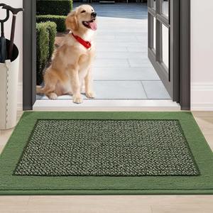 BEQHAUSE Indoor Door Mat 24" x 36", Dirt Trapper Door Mats Non-Slip Entryway Rugs Washable, Resist Dirt Absorbent Welcome Mat, Low Profile Floor Mats for Front Back Door and Entryway, Green