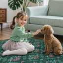 Tangsoo 2x3 Small Washable Entry Rug,Non Slip Green Floral Throw Area Rugs for Entryway,Front Door Mats Indoor Entrance Carpet for Kitchen Office Laundry, Soft Kids & Pets Friendly