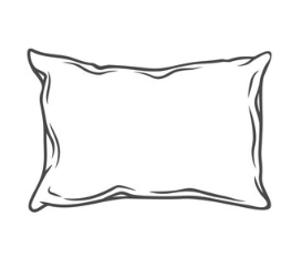 Sealy Pillow 2 Pack 32×18, 25×16