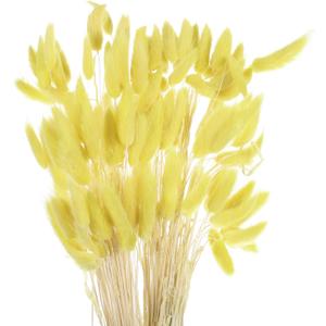 MECCANIXITY 120pcs Natural Rabbit Bunny Tails Dried Flowers 24" Mini Pampas Grass Lagurus Ovatus Bunch for Floral Wedding Decor Christmas, Lemon Yellow