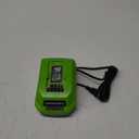 Replacement for Greenworks 40V Lithium Ion Battery Charger 29482 Compatible with Greenworks 40V Battery 29462 29472
