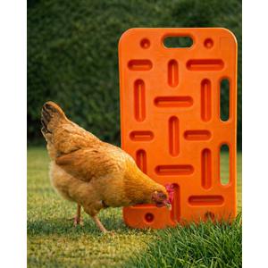 Pig Sorting Board - Livestock Sorting Panel - Cattle Panel, Hog Panels, Mini Pig, Baby Goat Supplies - Show Pig Supplies Livestock - Farm Equipment - Small 29" x 18" x 2" - Orange