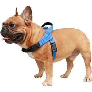 iChoue French Bulldog Harness Adjustable Padded Locked Buckle with Handle for Frenchie Pug English Boston Terrier Dogs, Blue, Small