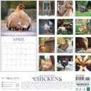 Backyard Chickens 2026 Calendar, 2026 Wall Calendar, Monthly Planner, Planner 2026-2027, Marble City Press, 12 x 24, Sustainable, Plastic Free, Printed on Thick Art Paper