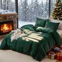 WARMDERN Emerald Green Velvet Duvet Cover Set King Size, Luxury Milk Velvet Bedding Duvet Cover with Zipper Closure, 3pcs Ultra Soft Duvet Covers for All Seasons, 104" x 90", Emerald Green