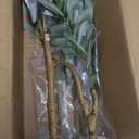 Artificial Fake Olive Tree 4FT Tall 1Pack with White Planter Faux Silk Olive Tree for Home Living Room Office Decor Faux Artificial Plants Indoor with Fruit & Free Moss