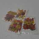 Augshy Fall Dried Pressed Flowers,100 Pcs Autumn Dried Flowers Leaves for Resin Molds Real Pressed Flowers for Crafts DIY Jewelry Molds, Scrapbooking, Candle (Orange)