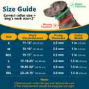 Crazy Felix No Pull Martingale Collar for Large Medium Small Dog Pitbull German Shepherd Doberman, Dog Collar Anti Pull with Buckle for Training Walking (Black, S-Neck 11-13", 1" Wide)