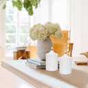 12 Pack 2x3 Inch White Pillar Candles, 22 Hours Dripless Smokeless Unscented Candles for Home Weddings Restaurant Spa Church and Emergency