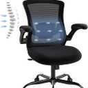 Ergonomic Office Chair with Adjustable Lumbar Support & Headrest  High Back Mesh Desk Chair with Flip-Up Armrests, Swivel Rolling Computer Chair for Home Office, Breathable & BIFMA Certified, Black (9050-bkbk)