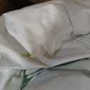 Bounceland Bouncy Castle Daydreamer Mist Bounce House, Pastel Bouncer with Slide, 12 ft L x 9 ft W x 7 ft H, UL Blower Included, Trendy Bouncer for Kids, Indoor and Outdoor Use