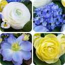 24 Inch Spring Wreath for Front Door, Artificial Hydrangea, Anemone & Wild Daisy Flowers with Berry Accents, Spring and Summer Door Wreath for Indoor Outdoor Decor