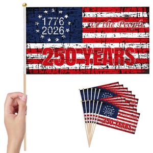 50 Pcs 250 Anniversary Small Stick Flags 250 Year American Anniversary flag Handheld Flag for Outside 4th of July Independence Day Patriotic Signs Hand Held Flags for Room House Welcome Lawn Backdrop Parade (C Flag, 50 Pcs)