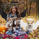 Angel Wings and Halo Adult Feather Angel Wings Costume for Women Halloween Cosplay Costumes (White)