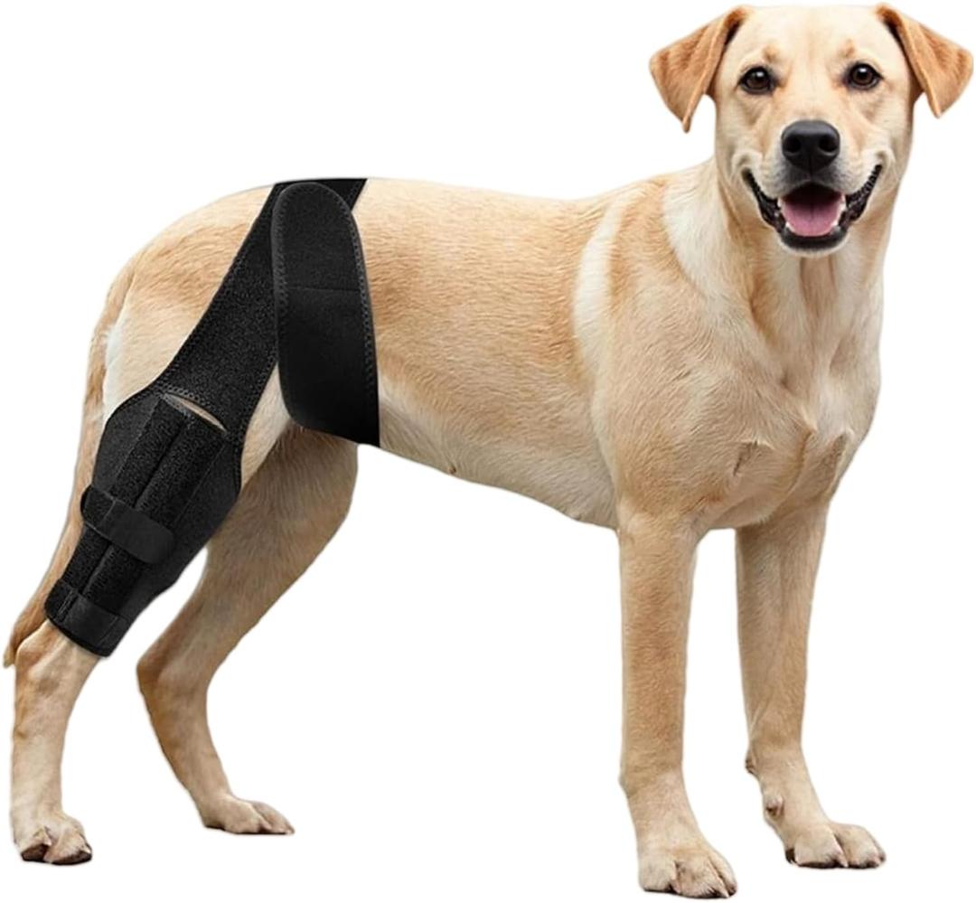 Dog Knee Brace for ACL Tear Adjustable ACL Knee Brace for Dogs Front or Rear Leg, Hip Dysplasia, Arthritis, Ligament Injuries Leg Support Brace for Canine Recovery (M)