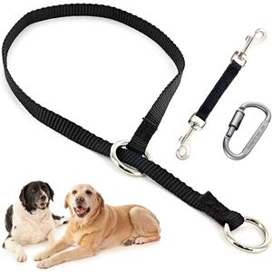 Mayerzon Backup Collar, Double Ended Clip and Carabiner for Prong Collar, Pinch Collar and Dog Harness, Safety Use for Walking and Training (L, Black) (Large,21.7in, Neck 16-20in)