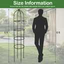 2 Pack 6 Ft Heavy Duty Metal Garden Obelisk Trellis for Climbing Plants, RustResistant Black Steel Vine Support for Rose Clematis Jasmine, Potted Flower Stand Indoor & Outdoor Decor (Bird), 6ft tall x 15in wide
