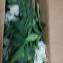 1 Pack 5ft Artificial Wisteria Tree, Tall Faux Flowering Plant, White