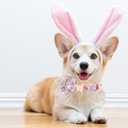 Lionheart glory Easter Day Dog Collar with Flower Dog Collar for X-Small Dogs, Rabbits Colorful Dogs Collars Flowers Spring Collars Puppy Flowers