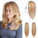 REECHO Clip in Hair Volumizer, 2PCS 12 inch Short Thick Clip in Hairpieces Adding Extra Volume Hair Extensions for Women (Honey Blonde with Highlights)