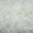 Pack of 4 200 Pieces White Feathers, Small Natural Craft Feathers Bulk Assorted Color 5-8cm Goose Feathers for Gift Filling, Cat Toy Making, Wedding Party Clothing Decorations, Home DIY Crafts Supplies