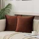 JIAHANNHA Velvet Brown Throw Pillow Covers 22x22 Inches Pack of 2 Soft Decorative Square Cushion Covers for Couch Sofa Bed Livingroom Car,55x55Cm
