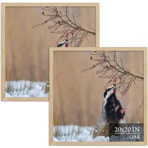 20x20 Oak Wood Poster Frame 2 Pack, Natural Solid Wood Photo Picture Frame for Wall Mounting, Hanging Hardware Included