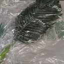 5PCS Artificial Coconut Tree Leaves Faux Foliage Home Decor Dark Green_S