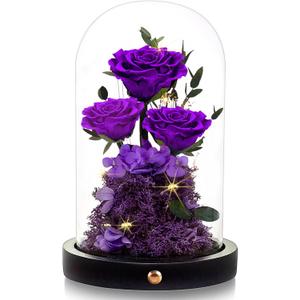 Valentines Day Flowers Roses Gifts for Women Her,Forever Preserved Rose in Glass Dome, Valentines Anniversary Birthday Real Roses Gifts for Wife Women Girlfriend Best Friend/Purple