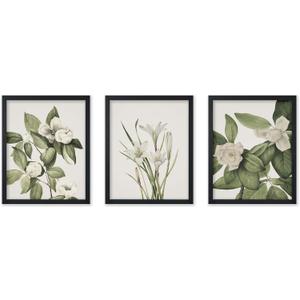 Poster Master 3-Piece Vintage White Flowers Poster - Retro Flower Print - Floral Art - Botanical Art - Gift for Men & Women - Aesthetic Decor for Bedroom, Living Room or Dorm - 8x10 UNFRAMED Wall Art (8L" x 10W", Style-05)