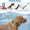 Mayerzon No Pull Dog Collar, Patented Martingale Collar for Small Medium Large Dogs with Buckle and Heavy Duty Nylon for Walking Training Hunting, Safe and Easy to Use(M, Green)