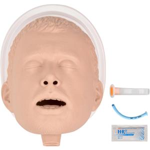 Airway Management Trainer, Intubation Manikin, Adult