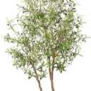 FEELEAD 8ft Faux Olive Tree - Large Realistic Artificial Olive Trees 8 Feet (96") Indoor Fake Plants with Realistic Trunk, Adjustable Branch, Olive Silk Tree with Planter for Home Living Room Decor