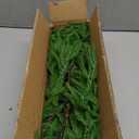 Christmas Garland Norfolk Pine Garland Real Touch Artificial Greenery Garland for Mantle Fireplace Table Indoor Outdoor Decor 6FT (6 ft (1 Pack- Young ))