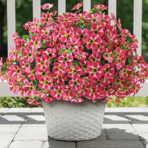 VIERENA 24 Bundles Artificial Flowers and Eucalyptus for Outside, Sun Resistant Silk Fake Morning Glory with Faux Eucalyptus Plants for Garden Porch Farmhouse Home Spring Summer Decor (Rose Red)