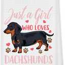kunlisa Dachshund Kitchen Towels,Black and Tan Dachshund Kitchen Towels and Dishcloths 1624 Inch,Funny Sausage Dog Hand Dish Tea Towel for Kitchen Decor,Dachshund Mom Gifts(white3) (Cat12)